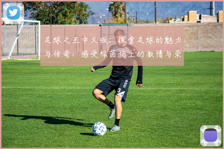 足球之王中文版：探索足球的魅力与传奇，感受绿茵场上的激情与荣耀