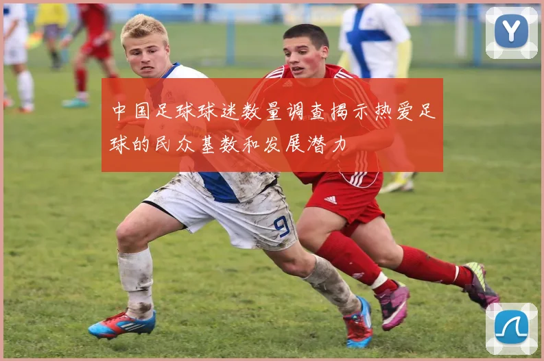中国足球球迷数量调查揭示热爱足球的民众基数和发展潜力