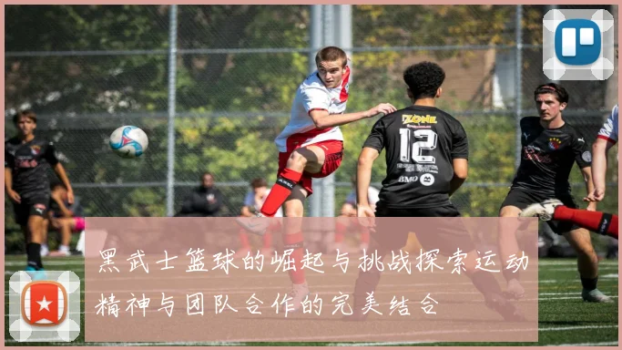 黑武士篮球的崛起与挑战探索运动精神与团队合作的完美结合