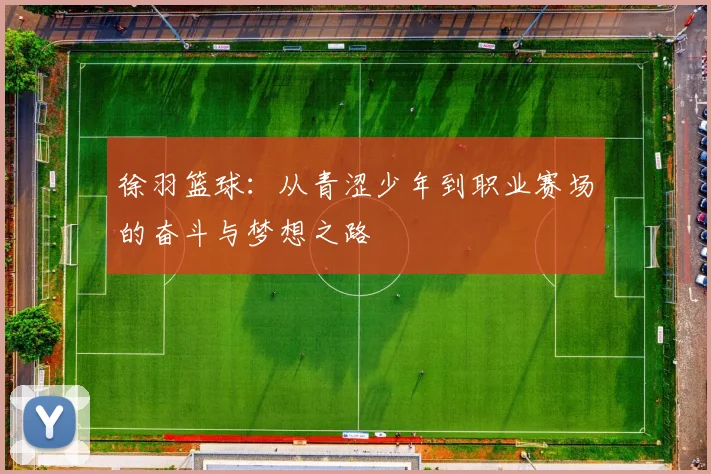 徐羽篮球：从青涩少年到职业赛场的奋斗与梦想之路
