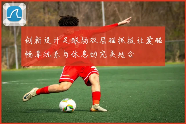 创新设计足球场双层猫抓板让爱猫畅享玩乐与休息的完美结合