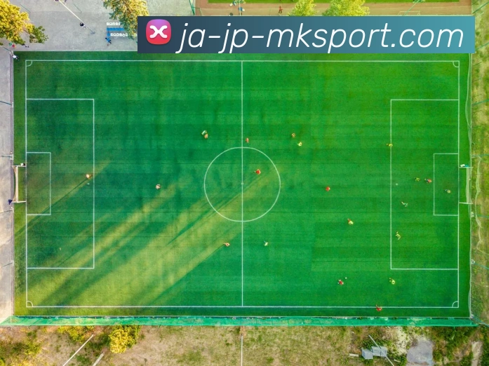 App Interface Preview